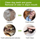 Escova de Dente Para Cachorros 2019 - Frete Grátis