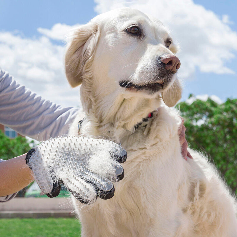 Luva Removedora De Pelos Para Pets