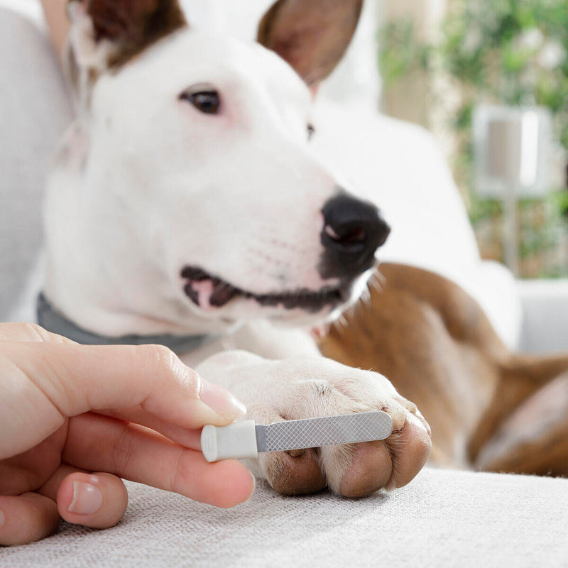 Cortaúñas con LED para Mascotas Clipet